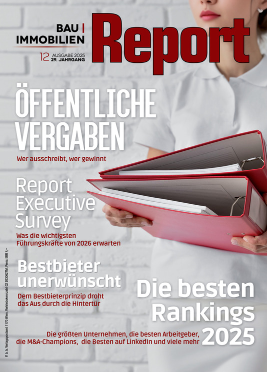 01_cover_bau_12_2025_1_534x745.jpg